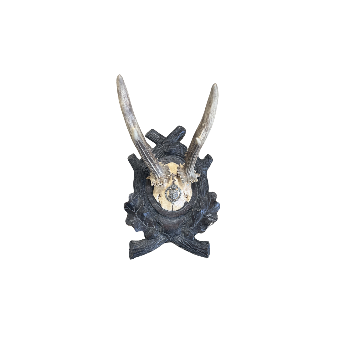 Vintage Crest Roe Deer Trophy