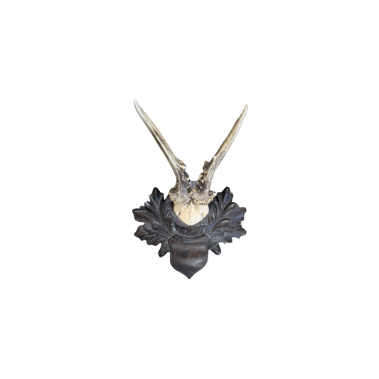 Vintage Crest Roe Deer Trophy