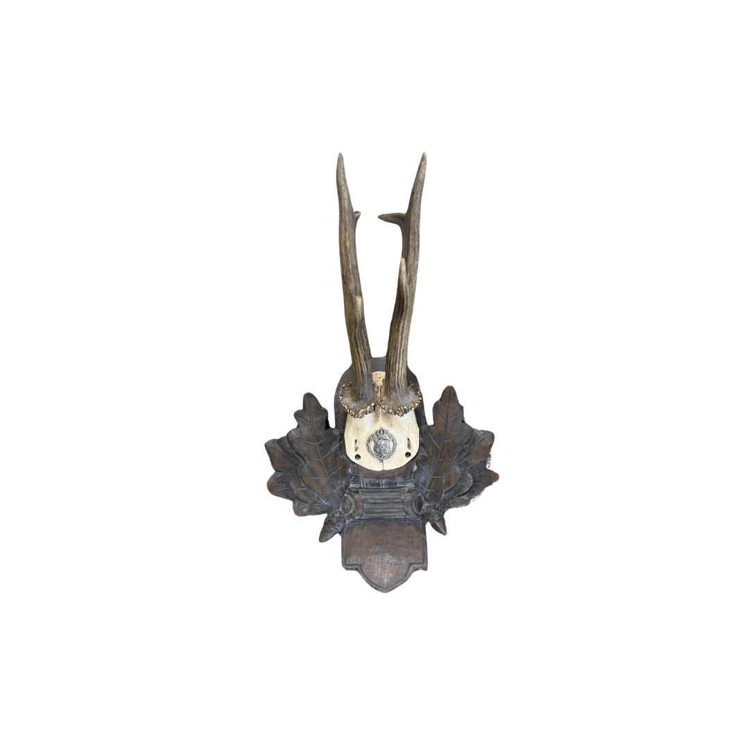 Vintage Crest Roe Deer Trophy