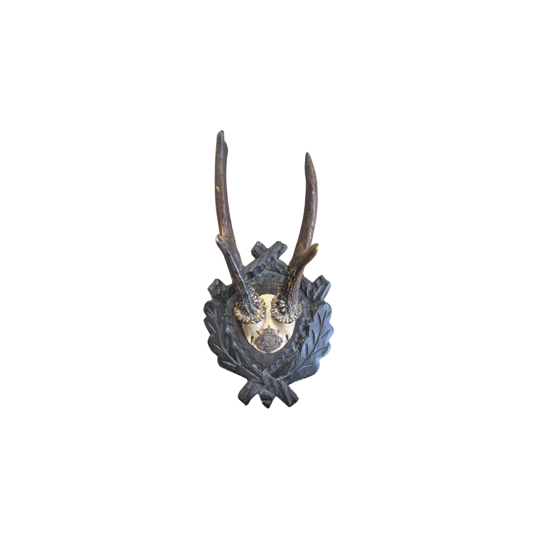 Vintage Crest Roe Deer Trophy