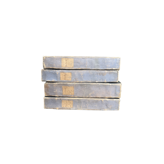 French Antique Book Set