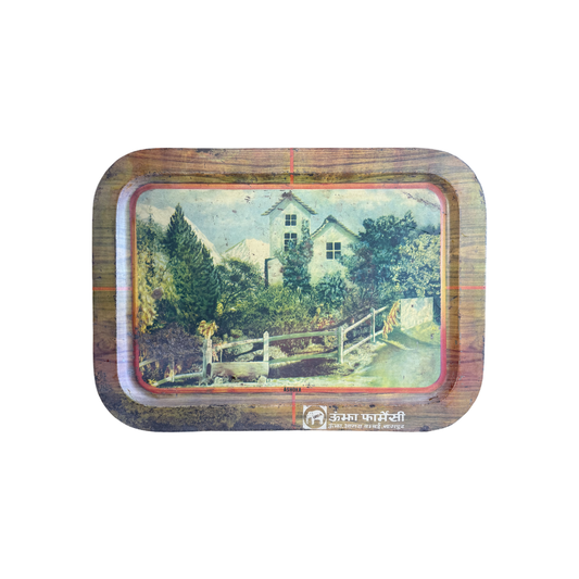 Distressed Metal Tray