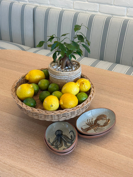 Hand-Painted Stoneware Dish with Sea Life Set