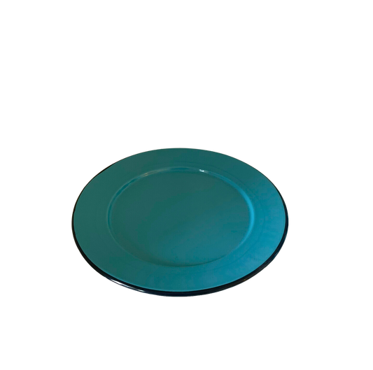 Blue Enamel Plate