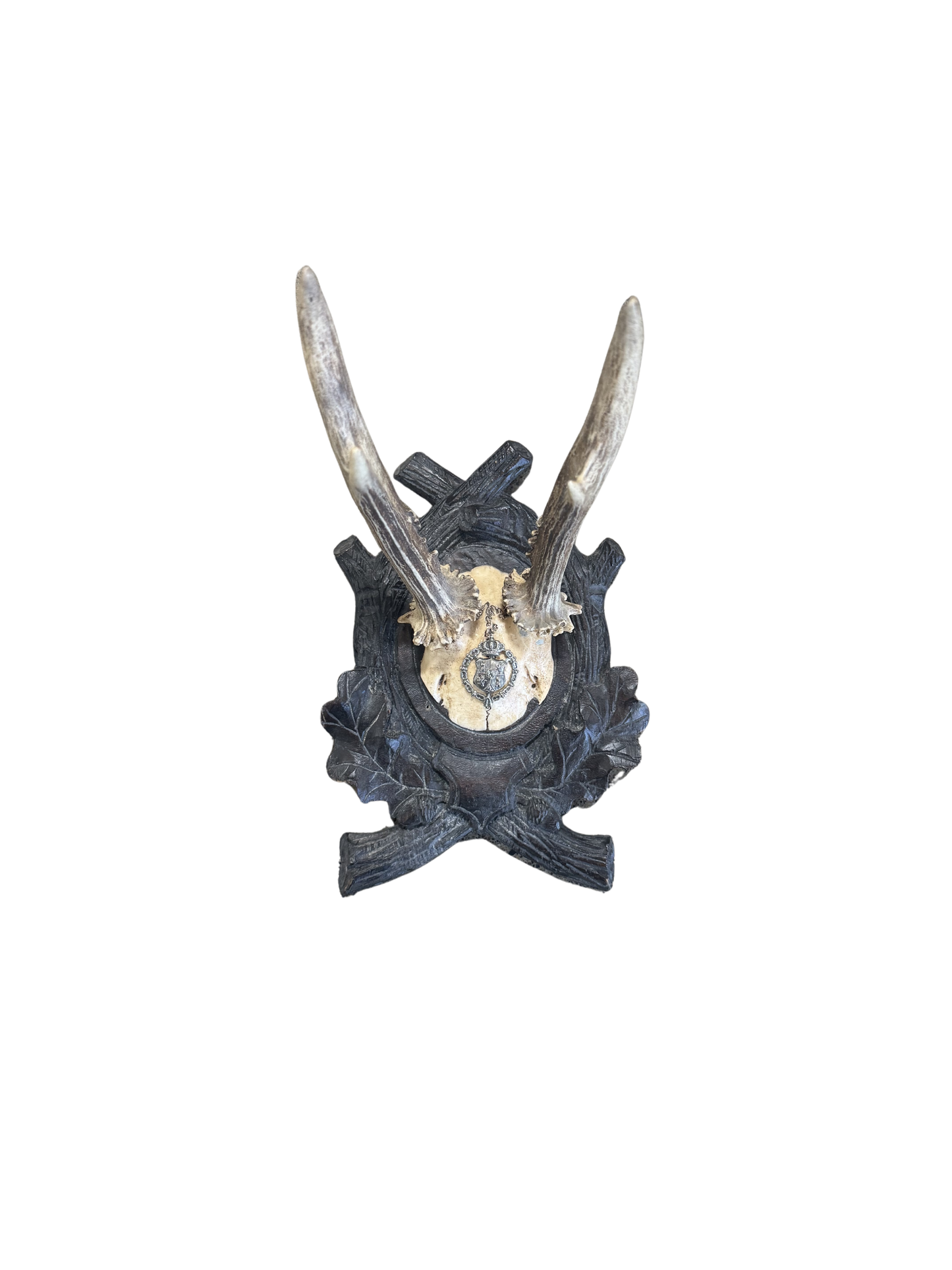 Vintage Crest Roe Deer Trophy