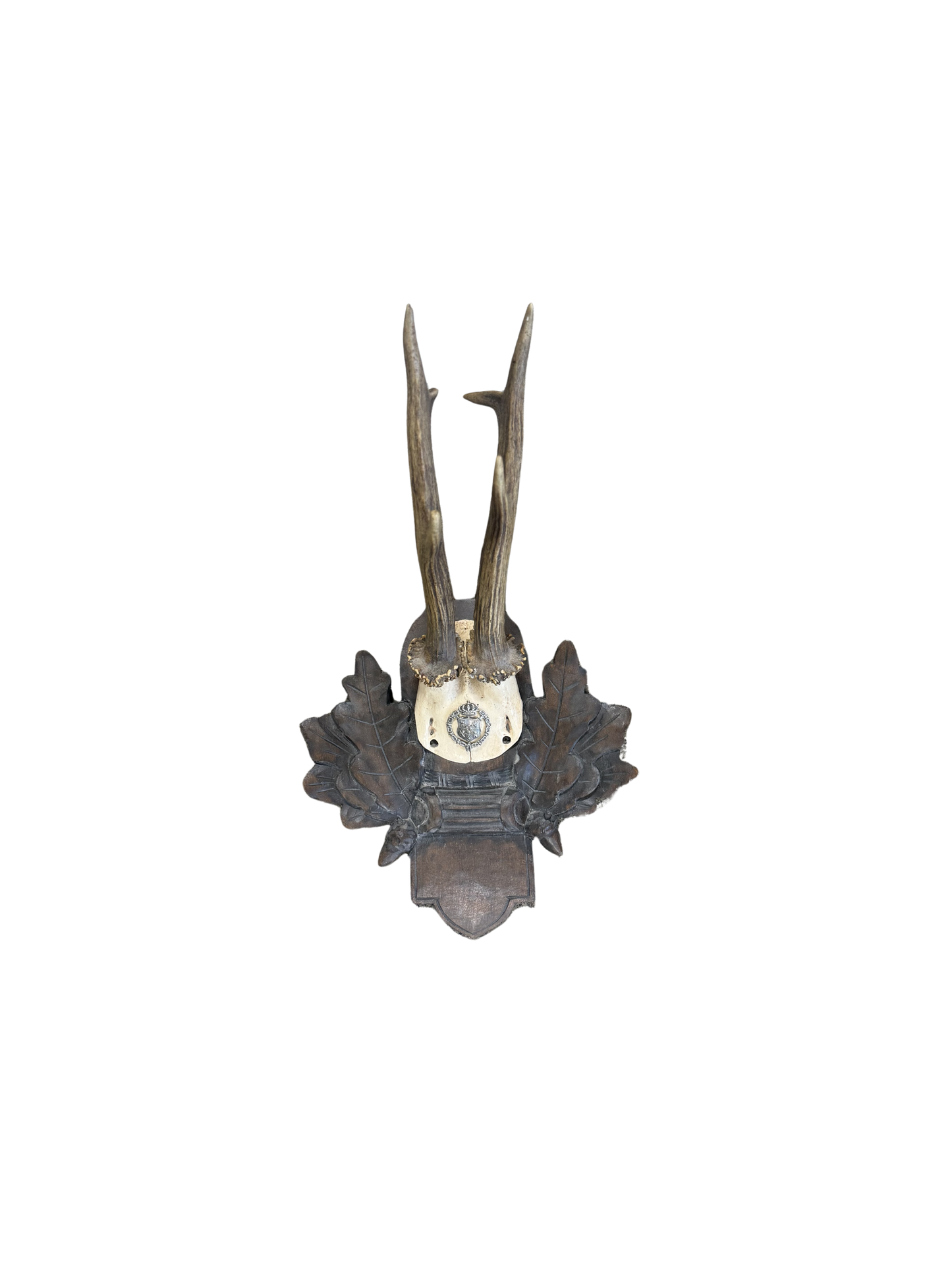Vintage Crest Roe Deer Trophy