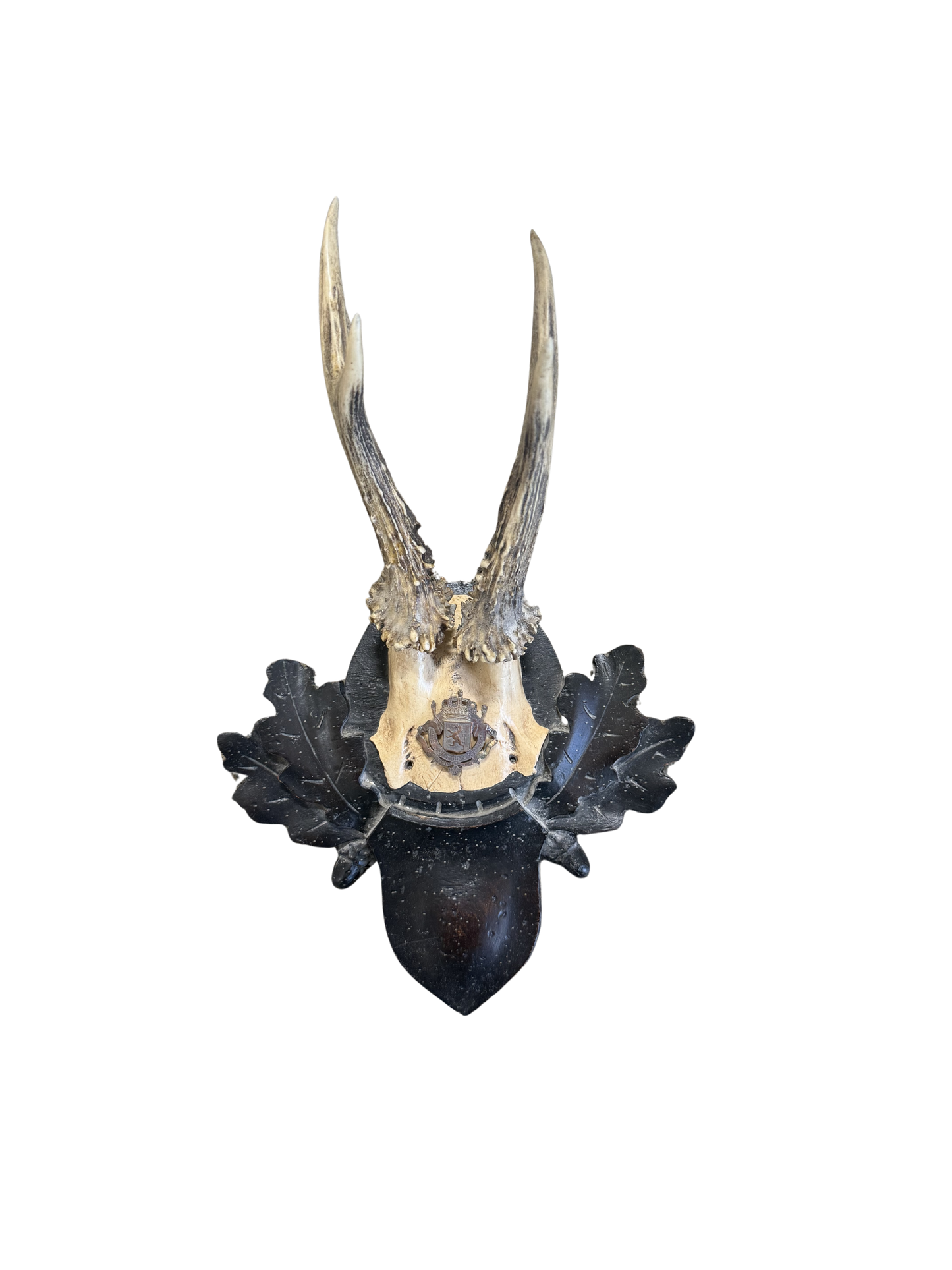 Vintage Crest Roe Deer Trophy