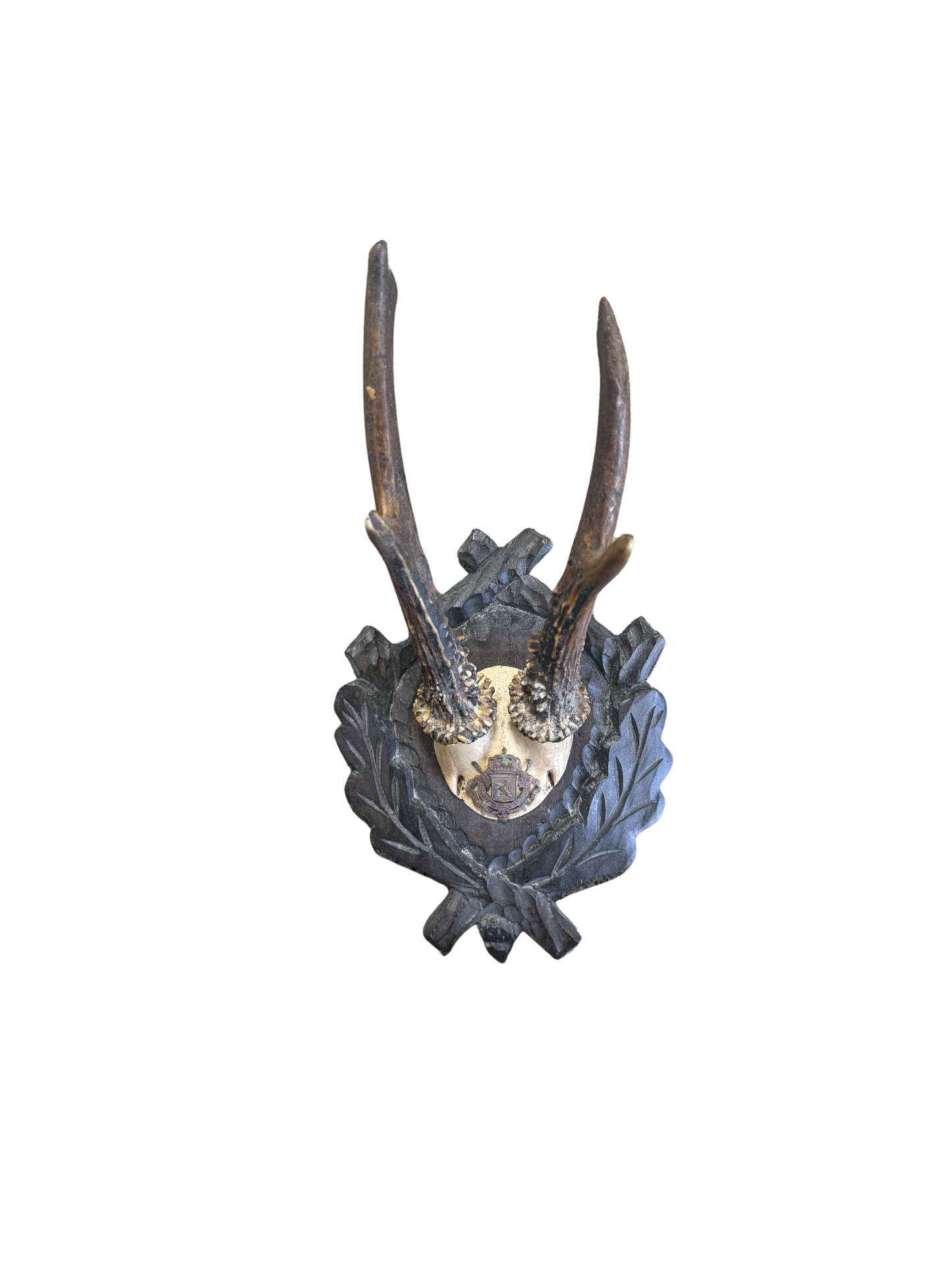 Vintage Crest Roe Deer Trophy