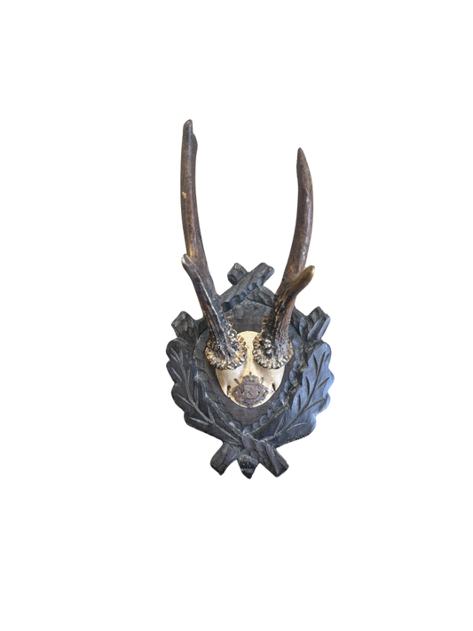 Vintage Crest Roe Deer Trophy